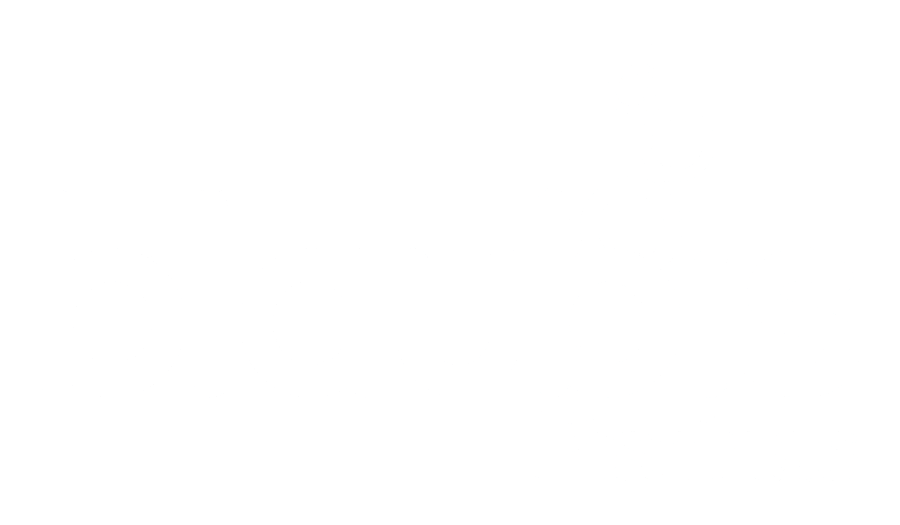 Logo Blaubis